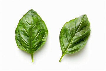 two green leaves on a white surface