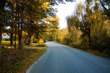 road in autumn
