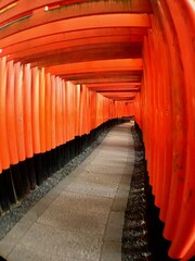 Fototapeta premium Thousand Torii Gates at Fushimi Inari Shrine, Japan