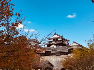 Shikoku Castle in Japan under a clear sky