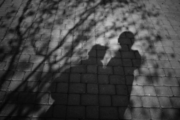 The shadows of the photographer and the traveling companion, combined with the shadows of tree...