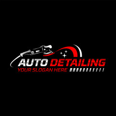 vector graphic of auto detailing services logo design template vector
