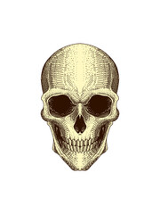 Skull Head Original