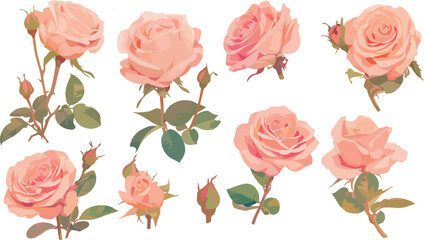 rose clipart vector for graphic resources