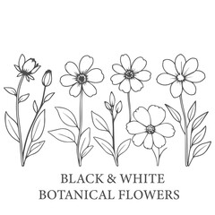 Hand Drawn line art, Vector design 