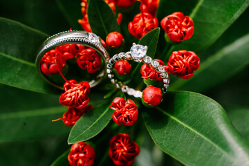 Amongst the vibrant red blossoms, the wedding ring rests, a symbol of enduring passion