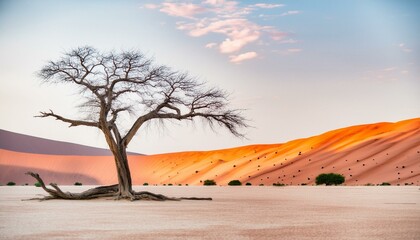 Fototapeta premium stark, leafless tree standing as a solemn sentinel amidst the barren expanse of a desert under the relentless heat of the sun. The tree's twisted branches and textured bark tell background