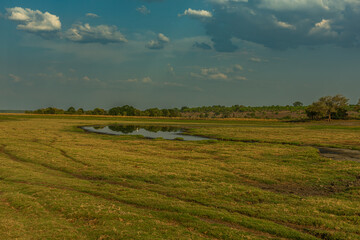 View of the landscape at the Chobe River in Botswana