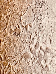 A close up photo on the roughy surface on the wall, resemble to pre-historic paintings (1)
