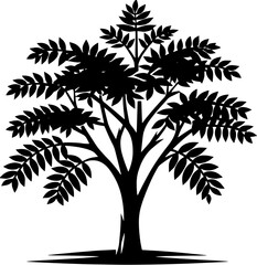 Black Locust Tree icon 14