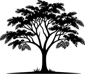 Black Locust Tree icon 13