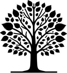 Beech Tree icon 5