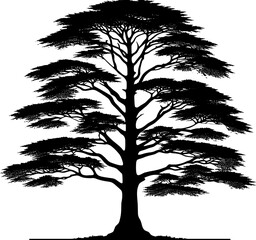 Bald Cypress Tree icon 4