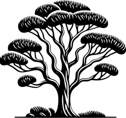 Australian Blackwood Tree icon 9