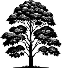 American Sycamore Tree icon 7