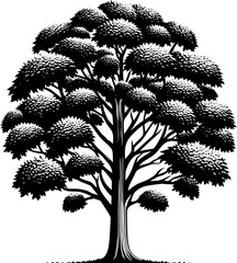 American Sycamore Tree icon 5