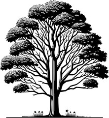 American Sycamore Tree icon 4
