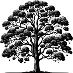 American Sycamore Tree icon 6