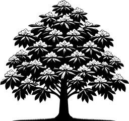 American Chestnut Tree icon 7