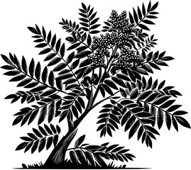 Ailanthus Tree icon