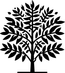 Ailanthus Tree icon 14