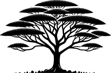 Agathis Tree icon 4