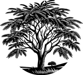 Acacia Tree icon 2