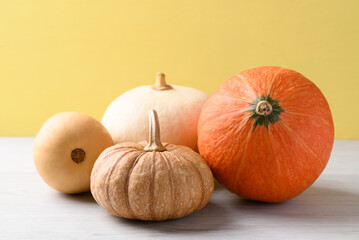 Various pumpkins on white with yellow background, Vegetables in autumn season