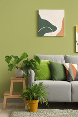 Stylish grey sofa with pillows, paintings and houseplants near green wall