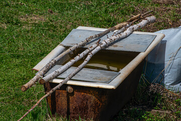 Garden container with rainwater on a spring day