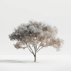 "Sleek Tree Designs Set with Transparent Backgrounds, 3D Render PNG, White Background Removed" "Simplified Tree Shapes Set, Transparent Backgrounds, 3D Render PNG, White Background Removed"
