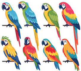 Vivid collection cartoon parrots, multiple poses. Bright colorful feathers, tropical birds sitting branches, beaks closed. Graphic style, vibrant colors, blue, green, red macaws