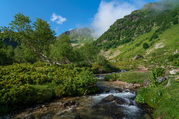 View of the Malaya Dukka River against the backdrop of the mountains of the North Caucasus on a sunny summer day, Arkhyz, Karachay-Cherkessia, Russia
