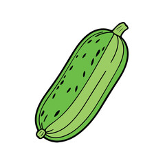 cucumber vector line color design icon illustration