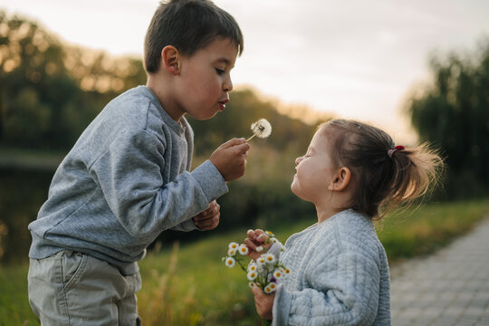 Brother and sister having fun playing with blooming white fluffy dandelions in a warm spring park. Happy carefree young children.