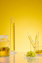 Vertical photo with laboratory glassware holding yellow liquid and fresh calendula flower featured...