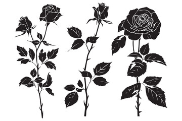 Rose silhouettes vector illustration. Black buds and stems of roses stencils isolated on white background