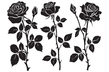 set of Rose silhouettes vector illustration