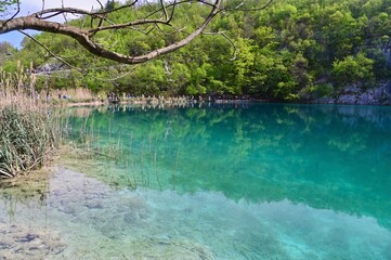 Emerald Clear Water at Plitvice Lakes National Park in Croatia