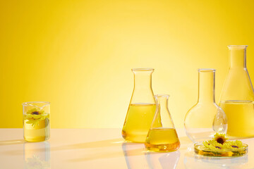 Some erlenmeyer flasks filled by yellow fluid, a petri dish contain calendula flowers and a blank boiling flask placed on the left side, a beaker placed on the other side. Copy space, frontal shot