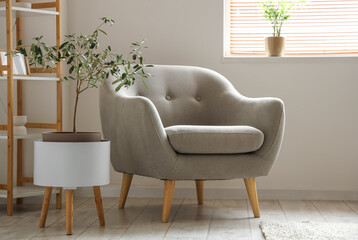 Interior of light living room with grey armchair and plants