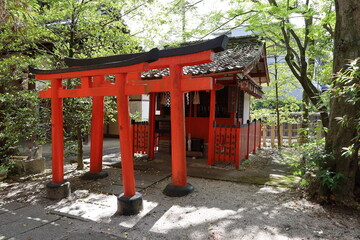  A Japanese shrine in Kyoto : a scene of one of the subordinate shrines in the precincts of...