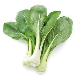 A photo of a bunch of bok choy on a white background. The bok choy is fresh and green, with white stems. - obrazy, fototapety, plakaty