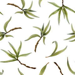 Olive tree twigs with summer green leaves watercolor seamless pattern on white. Botanical foliage of pomegranate or sea buckthorn twigs for natural rustic and eco friendly backgrounds