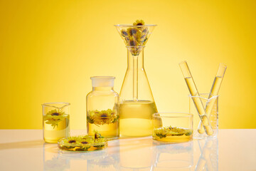 A set of laboratory items contain yellow liquid extracted from calendula flower featured on white...
