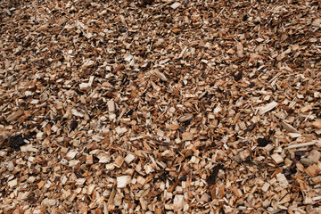 Holzhackschnitzel auf einem Lagerplatz am Waldrand