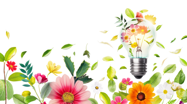 Inspirational Light Bulb with Colorful Flowers and leaves isolated on a transparent background