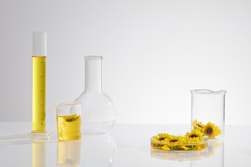 On the right side of photo featured a beaker and petri dish with fresh calendula flower, some lab items like boiling flask and measuring cylinder placed on the other side. Space for text, front view