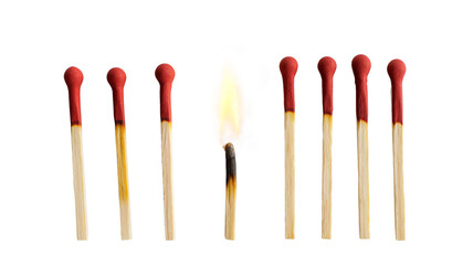 Lit match next to a row of unlit matches isolated on a transparent background