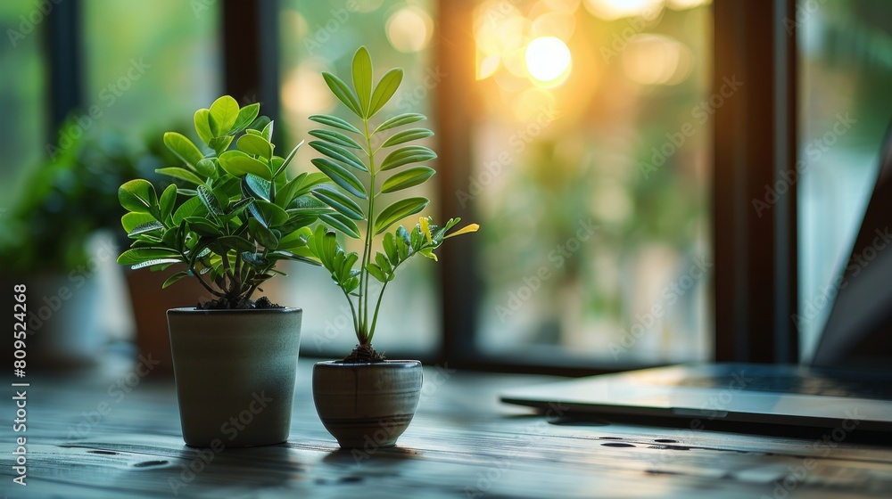 Poster tech office using green methods to reduce digital waste